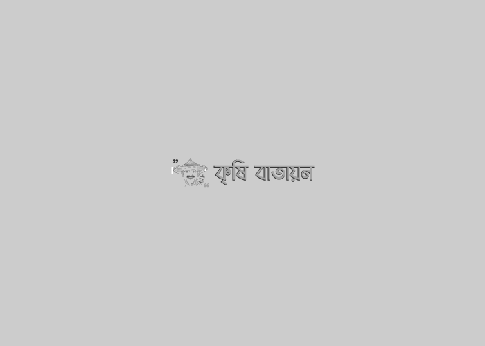 দৃষ্টি গ্রামের উন্নয়নে --কৃষিমন্ত্রী